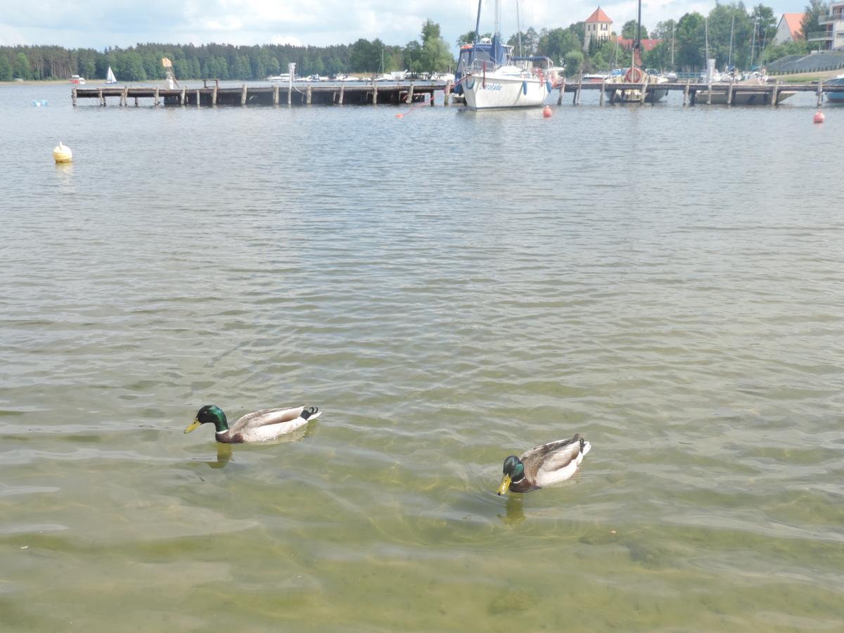 Mazurskie Wzgorze Casa vacanze Rydzewo